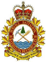 18 Svc Bn Cap Badge