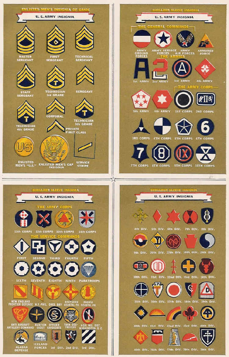 Army Unit Insignia Chart