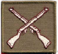 Army & Shooting Competition badges