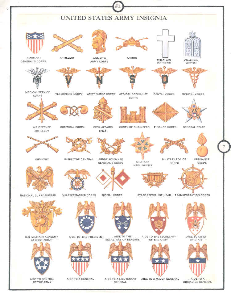 Military insignia chart us United States