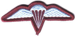 AUSTRALIA PARA LARGE AUSTRALIAN JUMP WINGS LAPEL PIN BADGE 3 INCHES 
