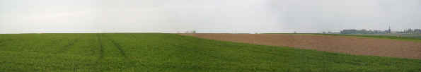 Looking out from the Sunken Road