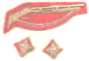 NZ Volunteers Badge - Circa 1866 - 1910