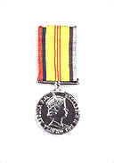 Vietnam Logistic and Support Medal