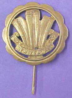 MILITARY BADGE NZ 33RD REINFORCEMENTS CAP