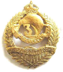 WW1 NZ No.3 Reserve Coy. COPY Badge