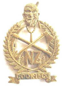 RARE WW1 Cook Islands Company Cap Badge