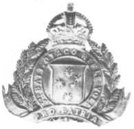 SCARCE NZ 3rd Batt Otago Rifle Vols Cap Badge