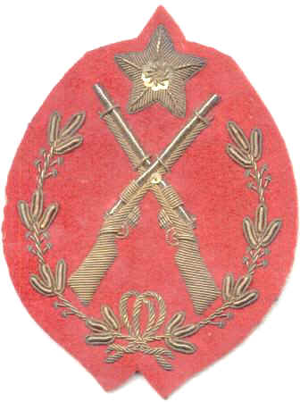 Army & Shooting Competition badges