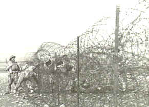 barbedwire-concertina.jpg
