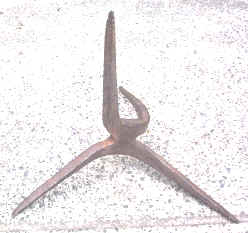 caltrops.jpg