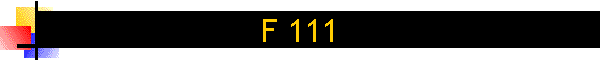 F 111