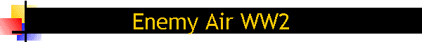 Enemy Air WW2
