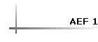 AEF 1