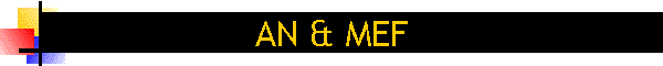AN & MEF