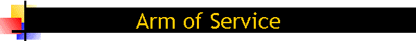 Arm of Service
