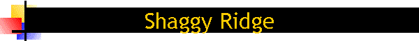 Shaggy Ridge