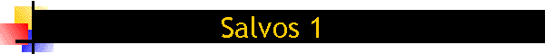 Salvos 1