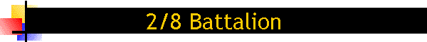 2/8 Battalion