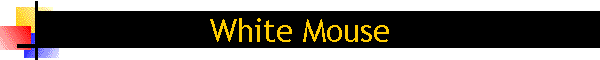 White Mouse