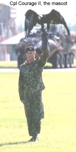 CPL Courage Prepares to fly on to a parade