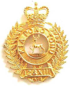 NZ 12th & XIIIth Regt Q/C Gilt Officers Badge