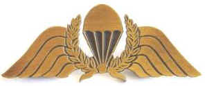 NZ Army Para Wings SCARCE Metal Trial Type