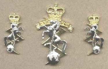 RNZEME CAP and COLLAR Badges