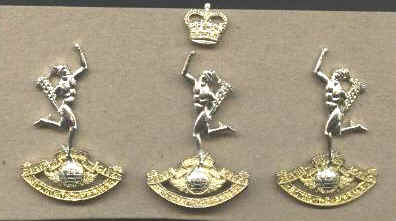 RNZSIG CAP and  COLLAR Badges