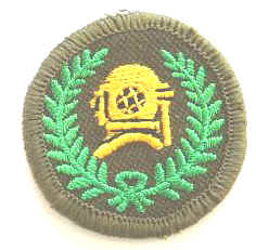 Royal NZ Engineers 2nd Patt Divers Patch